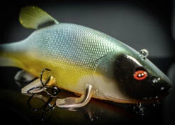 Quantum Freak Of Nature Swimbait Tench 23cm, 270g -Sportangelgeschäft 22 3272005r 5