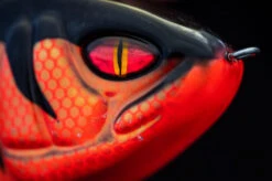 Daiwa PX Lazy Jerk Distance -Sportangelgeschäft 32 217457r 4