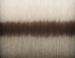 Savage Gear Silencer Mono Fade 300m -Sportangelgeschäft 72268r 2