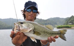 Fish Arrow Flash J Split -Sportangelgeschäft FA 4562178063738r 3