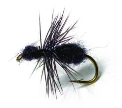 Black Ant Black TMC 100 #16
