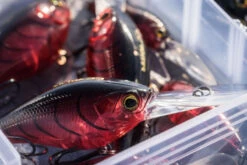 Shimano Yasei Cover Crank F -Sportangelgeschäft LUYASCCFSR07RBTr 5