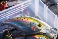 Shimano Yasei Cover Crank F -Sportangelgeschäft LUYASCCFSR07RBTr 6