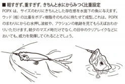 Megabass PopX -Sportangelgeschäft MB 00000000267r 3