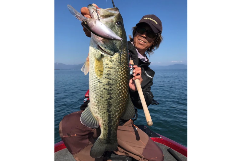 Megabass Big-M 7.5 4 Megabass Big-M 7.5 – Bild 2