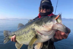 Megabass Dyna Response 14g -Sportangelgeschäft MB DR 4513473478703r 3