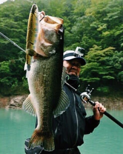 Madness Japan Balam Swimbait -Sportangelgeschäft MJPBSIMr 2