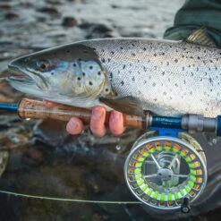 Vision Stifu Flyrod -Sportangelgeschäft VFU4967r 3